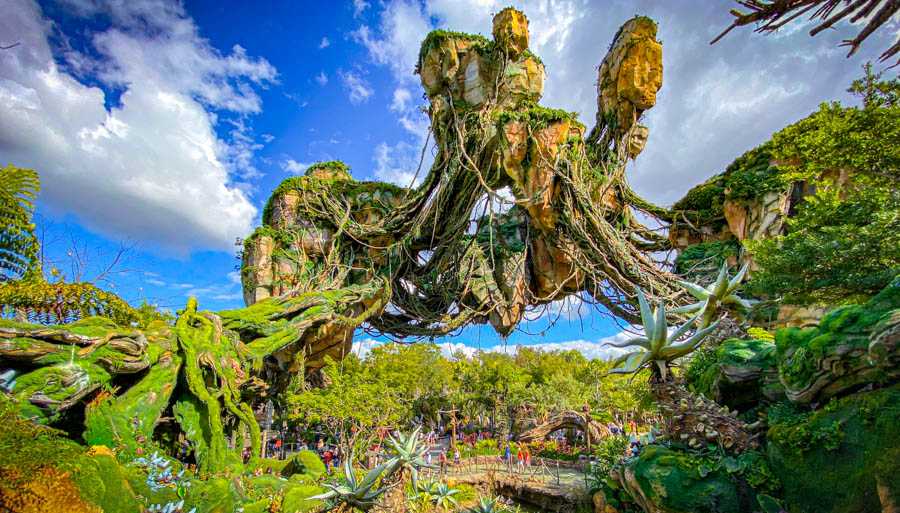 Quelques éléments incontournables à voir lors de votre visite au Royaume Animal de Disney